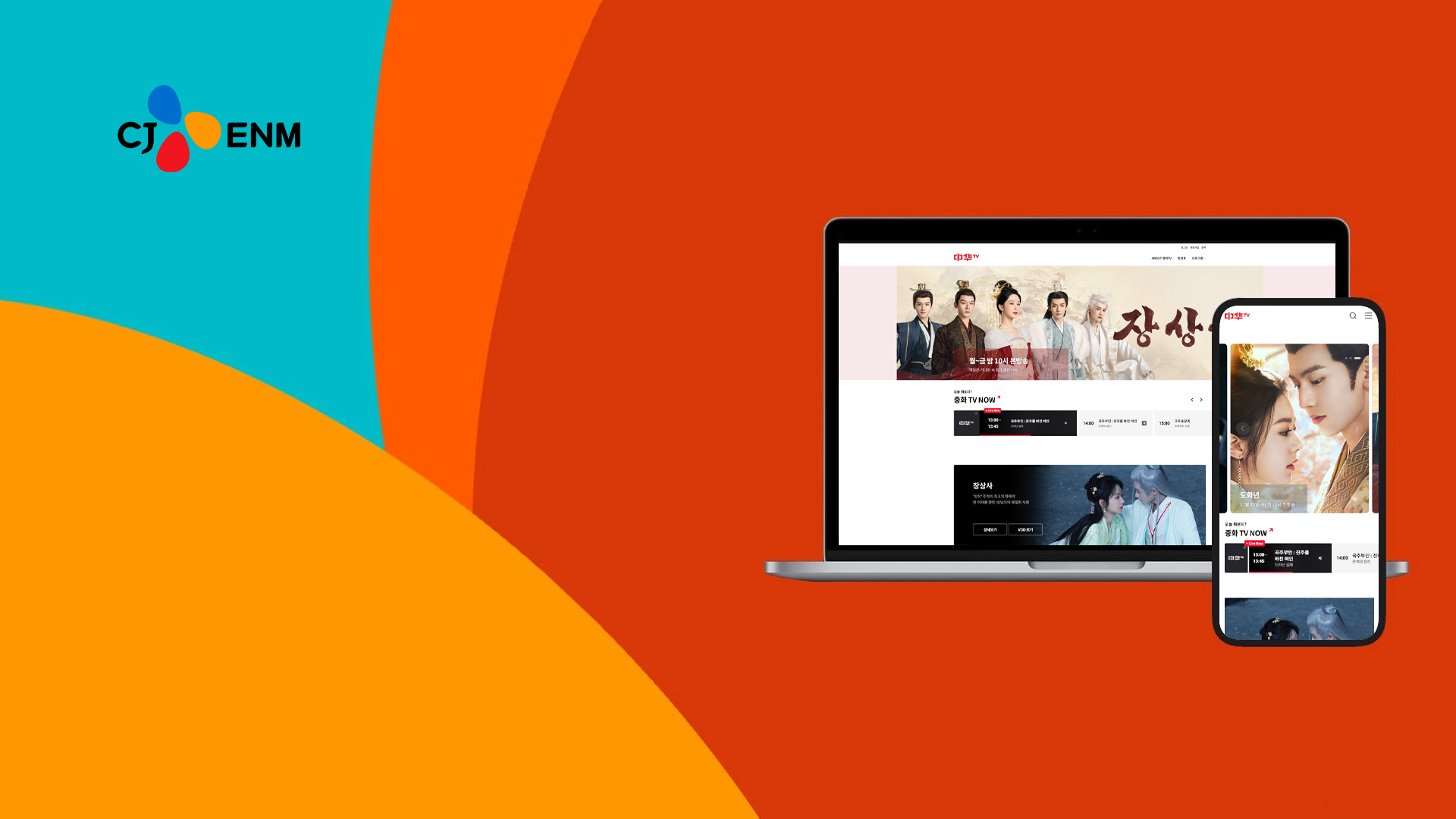 portfolio CJ ENM 중화TV
